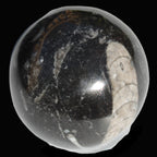 Orthoceras sphere 64mm 368.5g Rocks and Things
