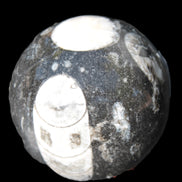Orthoceras sphere 62mm 337.6g Rocks and Things