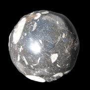 Orthoceras sphere 62mm 337.6g Rocks and Things