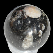 Orthoceras sphere 62mm 337.6g Rocks and Things