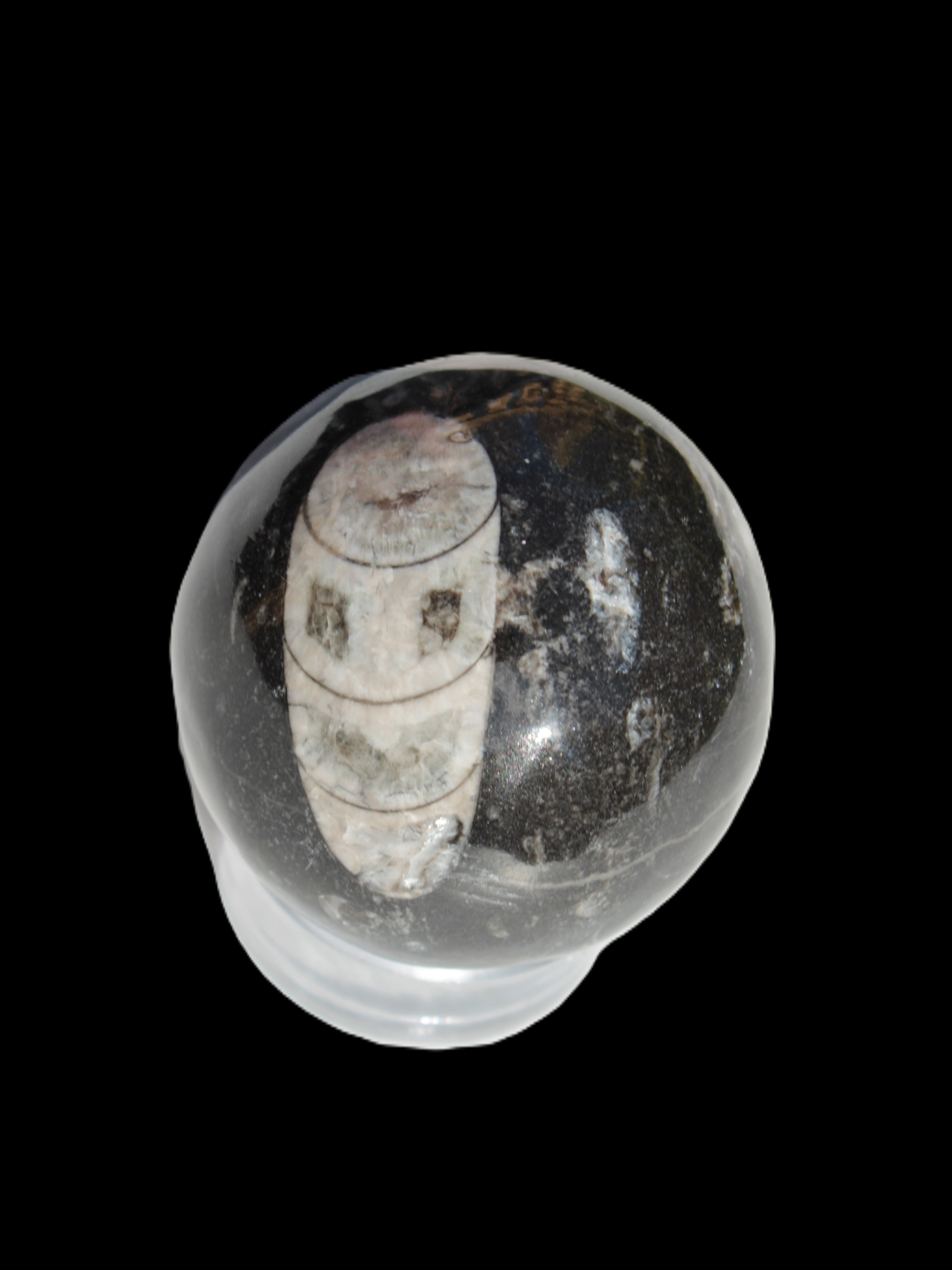 Orthoceras sphere 62mm 337.6g Rocks and Things