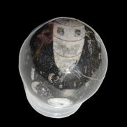 Orthoceras sphere 62mm 337.6g Rocks and Things