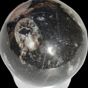 Orthoceras sphere 62mm 337.6g Rocks and Things