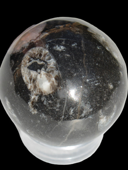 Orthoceras sphere 62mm 337.6g Rocks and Things