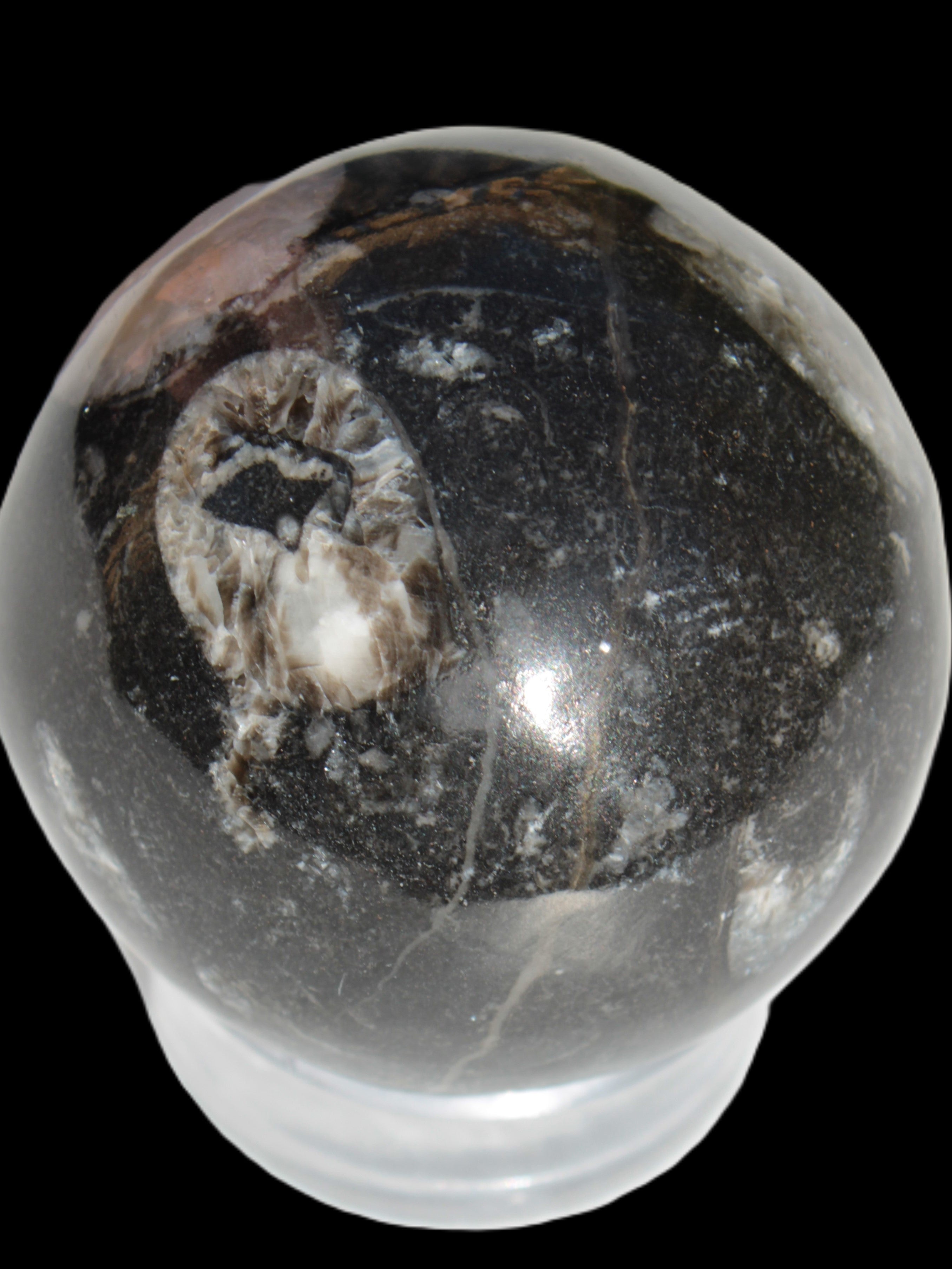 Orthoceras sphere 62mm 337.6g Rocks and Things