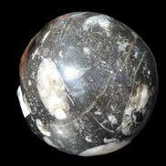 Orthoceras sphere 62mm 337.6g in sunlight - Rocks and Things Store