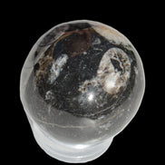 Orthoceras sphere 62mm 337.6g Rocks and Things