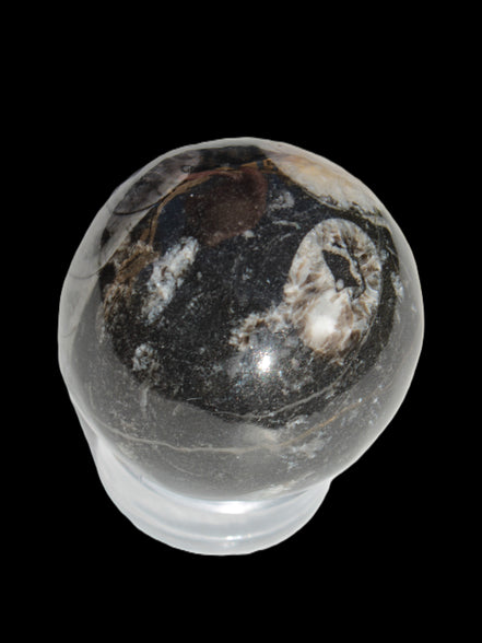 Orthoceras sphere 62mm 337.6g Rocks and Things