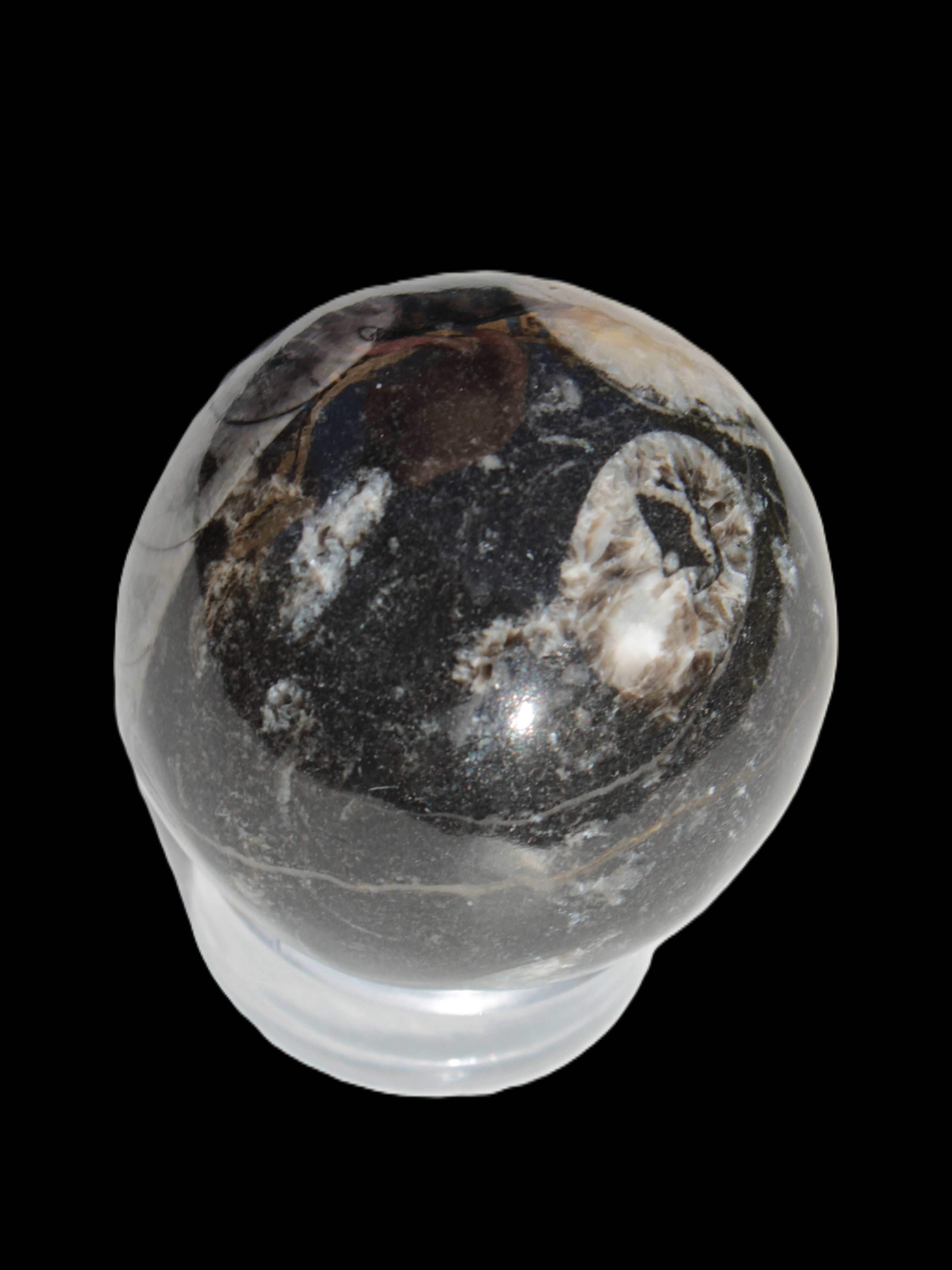 Orthoceras sphere 62mm 337.6g Rocks and Things