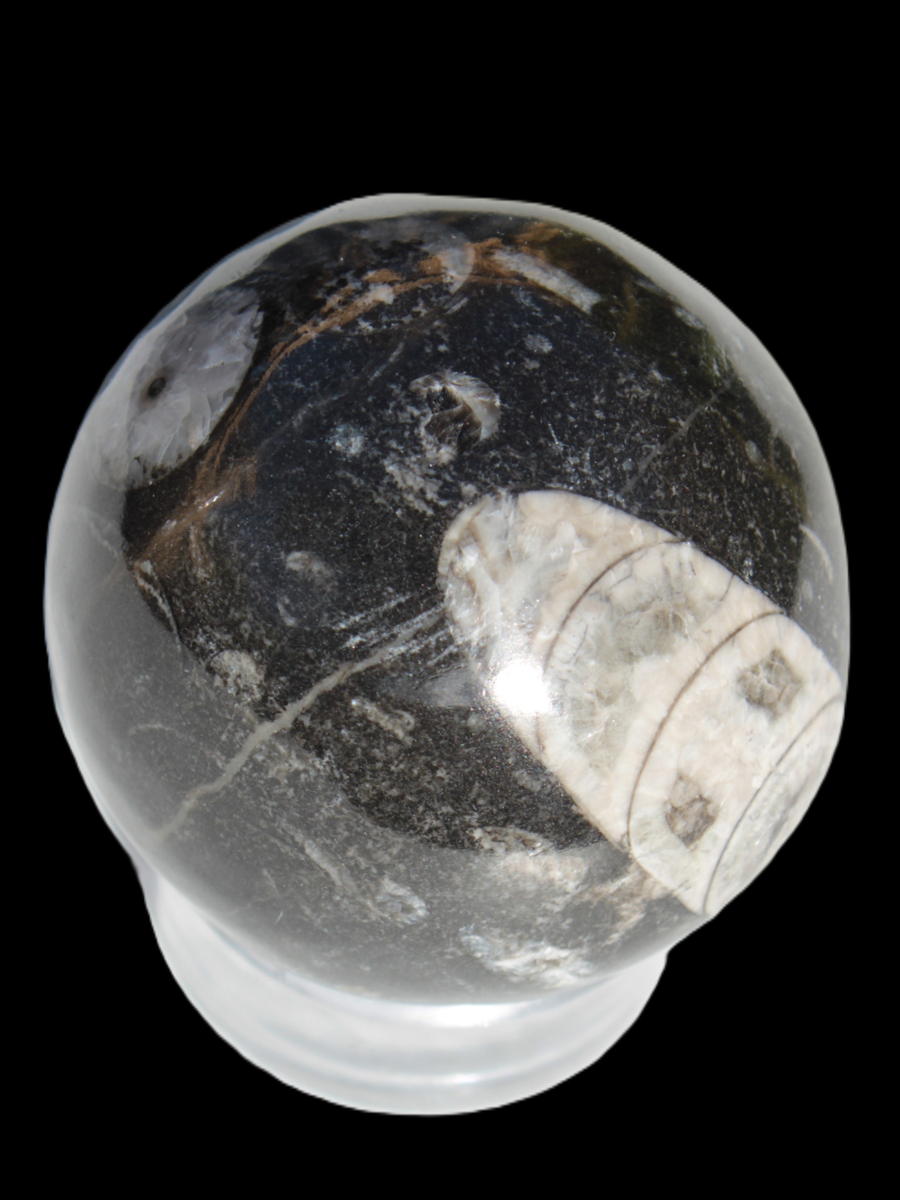 Orthoceras sphere 62mm 337.6g Rocks and Things