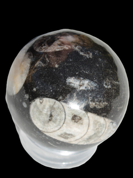 Orthoceras sphere 62mm 337.6g Rocks and Things