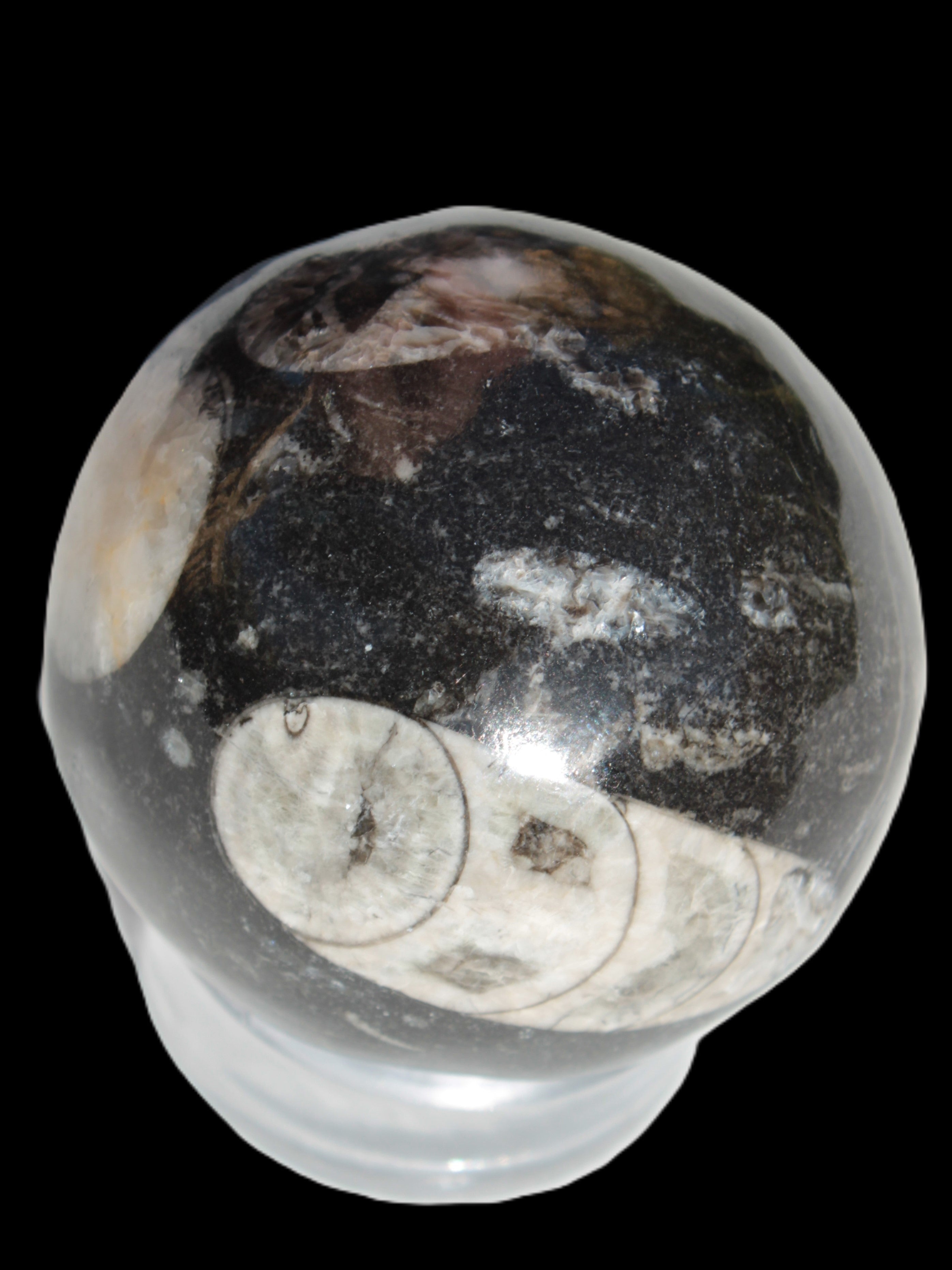 Orthoceras sphere 62mm 337.6g Rocks and Things
