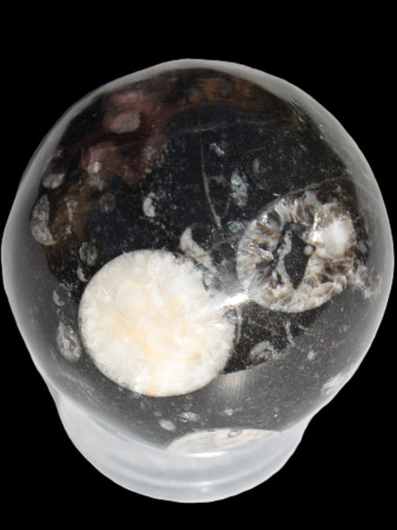 Orthoceras sphere 62mm 337.6g Rocks and Things