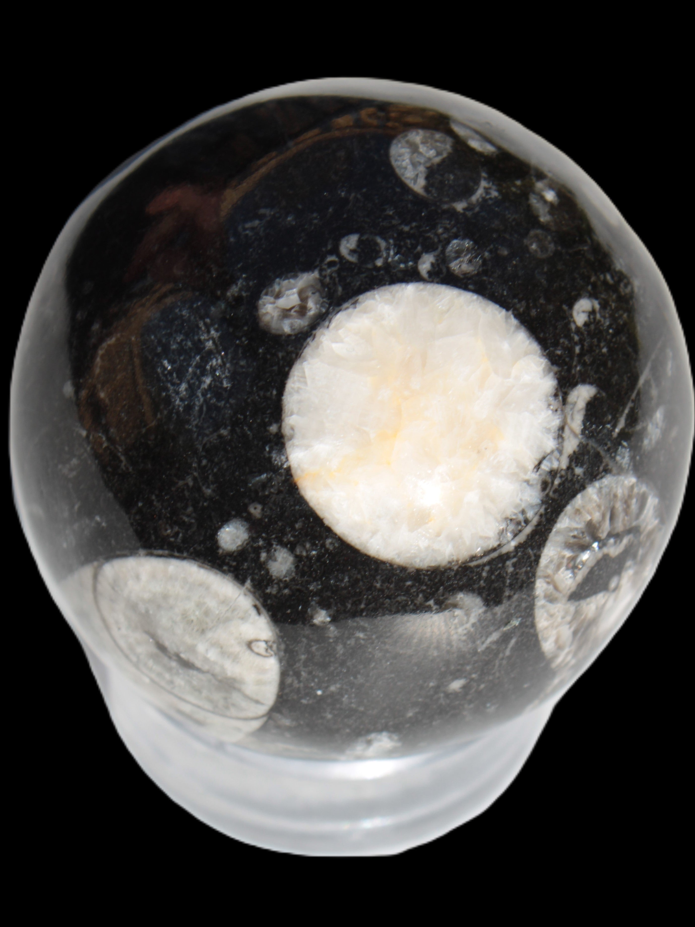 Orthoceras sphere 62mm 337.6g Rocks and Things