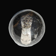 Orthoceras sphere 56mm 314.1g - Rocks and Things Store