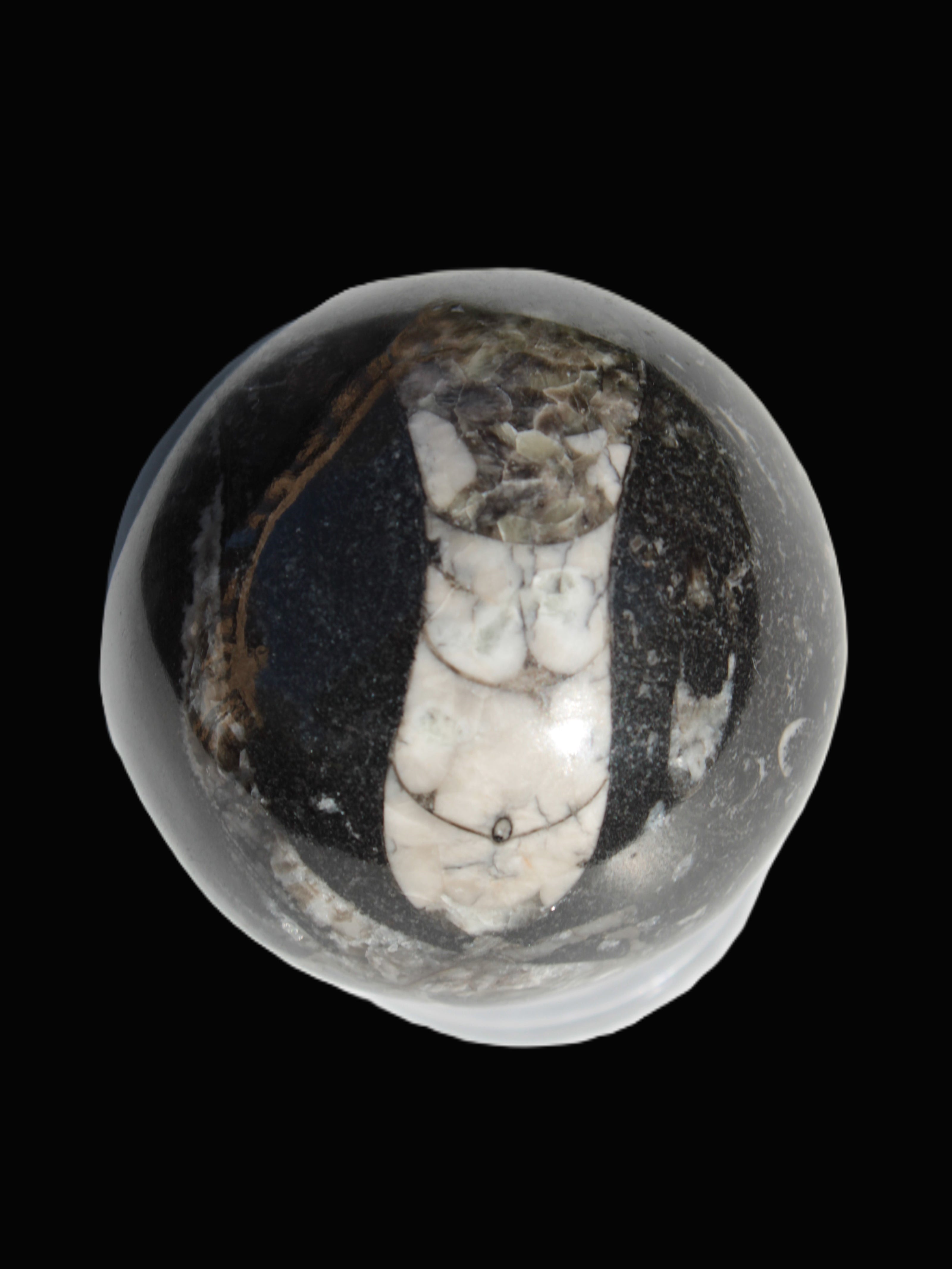 Orthoceras sphere 56mm 314.1g - Rocks and Things Store