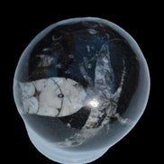 Orthoceras sphere 56mm 314.1g Rocks and Things