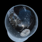 Orthoceras sphere 56mm 314.1g Rocks and Things