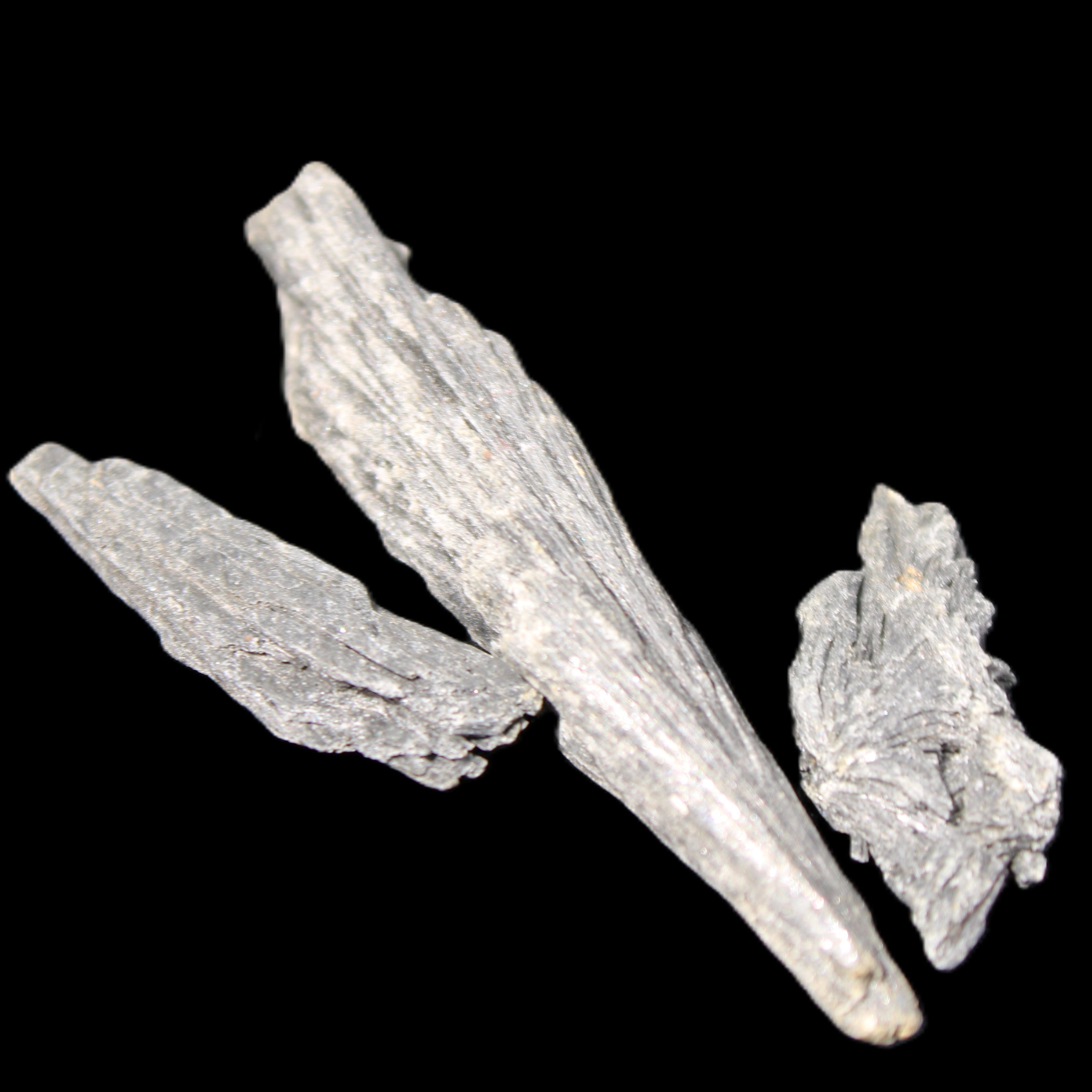 Three/four Black Tourmaline feather crystals 35-70mm 18-19g in sunlight - Rocks and Things Store