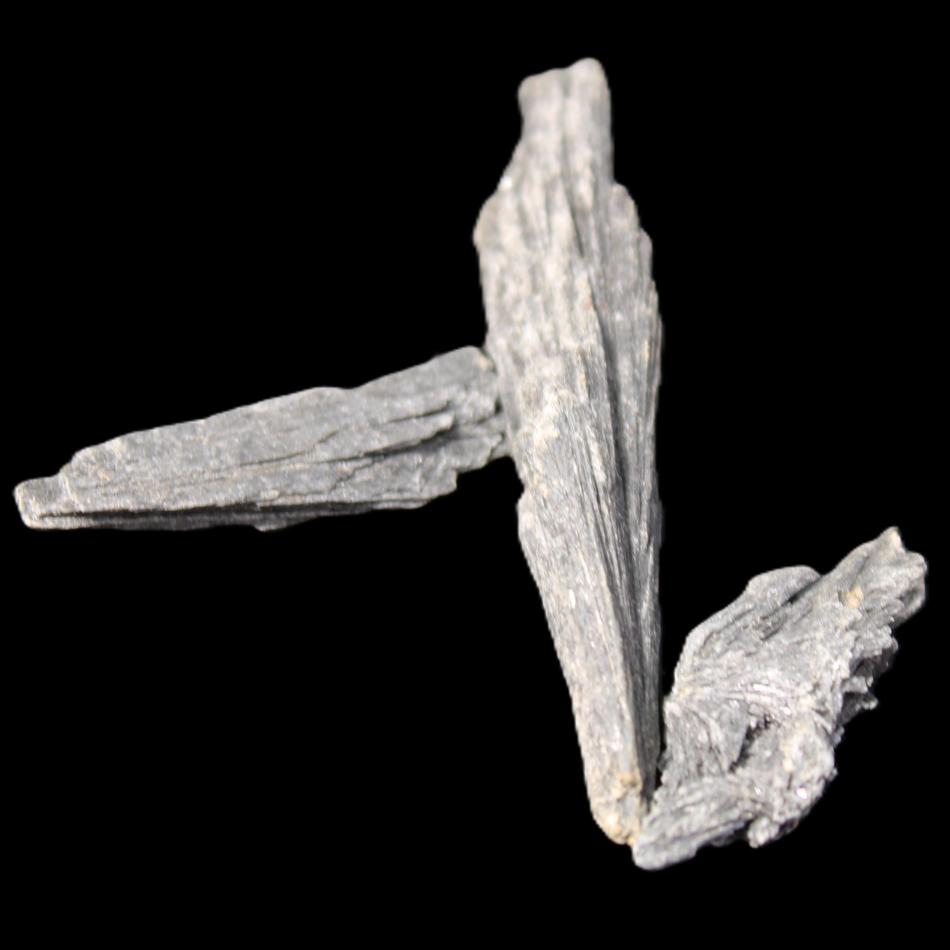 Three/four Black Tourmaline feather crystals 35-70mm 18-19g in sunlight - Rocks and Things Store