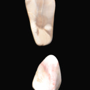 Mookaite 2 stones 10.9g in sunlight - Rocks and Things Store