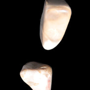 Mookaite 2 stones 10.9g in sunlight - Rocks and Things Store