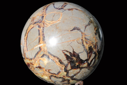 Septarian Dragon Stone sphere 109mm 1870g Rocks and Things
