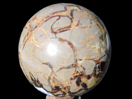 Septarian Dragon Stone sphere 109mm 1870g Rocks and Things