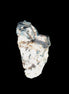 Rough Black Opal Australia 40mm 30ct 6g Rocks and Things