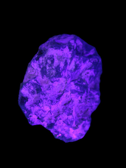 Rough Black Opal Australia 37mm 40.7ct 8.1g Rocks and Things