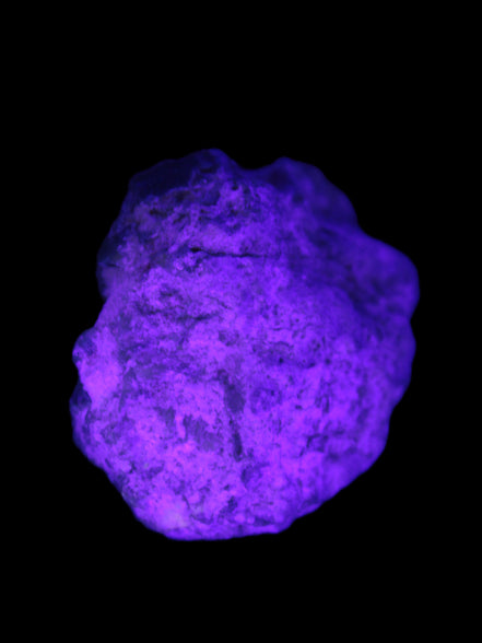 Rough Black Opal Australia 37mm 40.7ct 8.1g Rocks and Things
