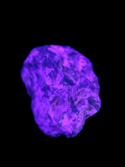 Rough Black Opal Australia 37mm 40.7ct 8.1g Rocks and Things