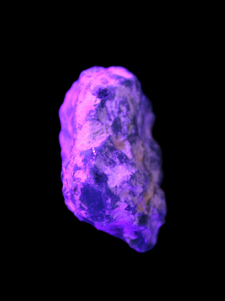 Rough Black Opal Australia 37mm 40.7ct 8.1g Rocks and Things