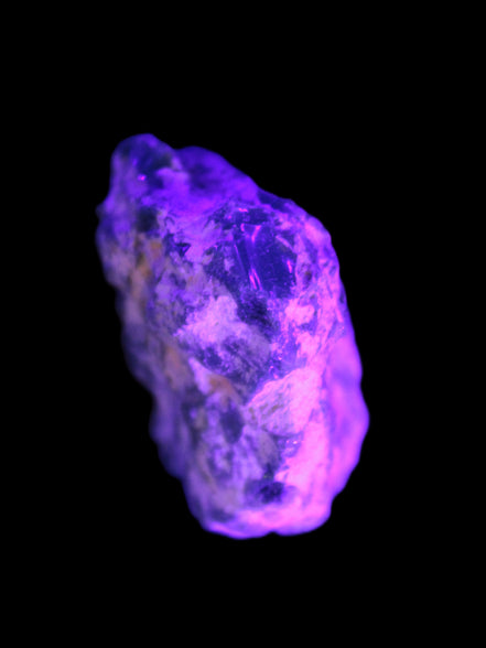 Rough Black Opal Australia 37mm 40.7ct 8.1g Rocks and Things
