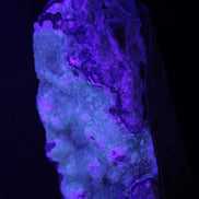 Volcano Agate obelisk 367g Rocks and Things