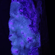 Volcano Agate obelisk 367g Rocks and Things