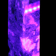 Water Grass Moss Agate obelisk 430g in UV light