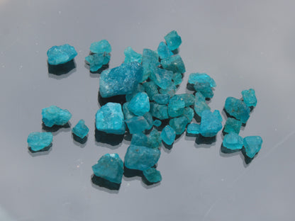 Blue Apatite tiny raw crystals 9-10g Rocks and Things