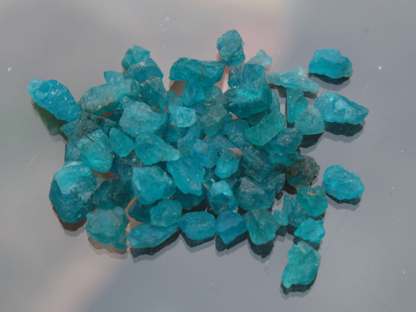 Blue Apatite tiny raw crystals 9-10g Rocks and Things