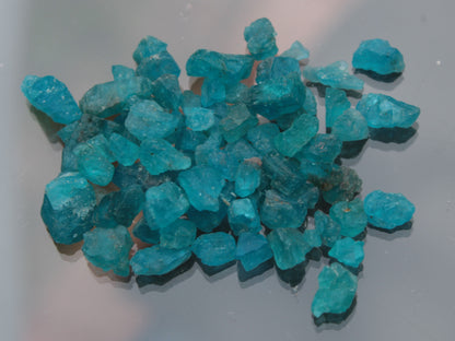 Blue Apatite tiny raw crystals 9-10g Rocks and Things