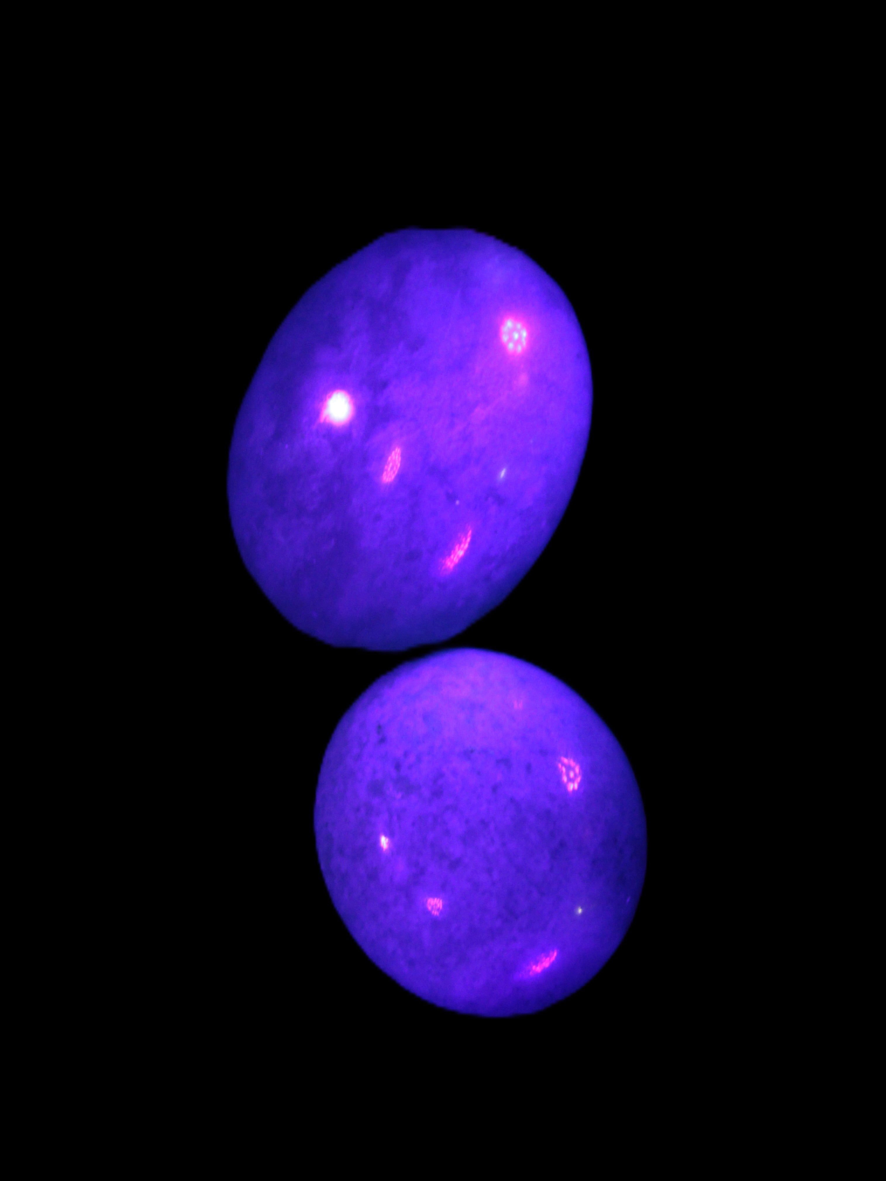 Blue Trolleite stones 15mm-23mm 12-15g in UV light - Rocks and Things Store