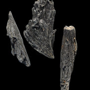 Black Tourmaline 3/4 feather crystal 18-19g Rocks and Things