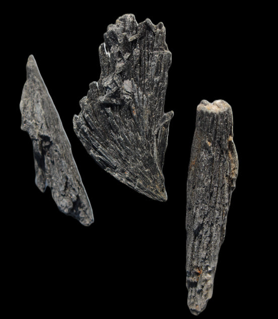 Black Tourmaline 3/4 feather crystal 18-19g Rocks and Things