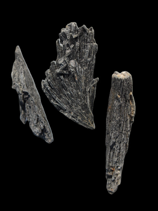 Black Tourmaline 3/4 feather crystal 18-19g Rocks and Things