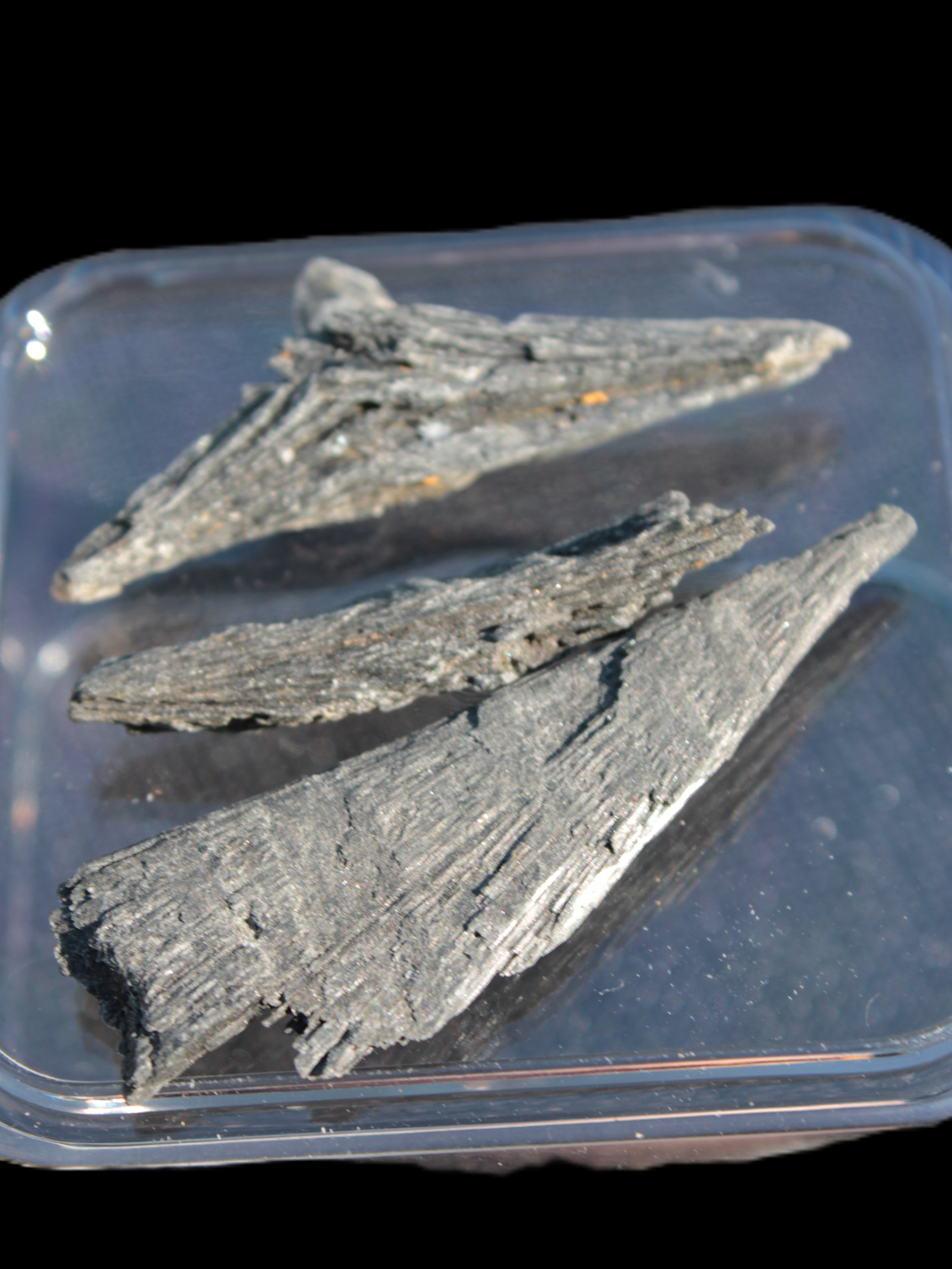 Black Tourmaline 3/4 feather crystal 18-19g Rocks and Things