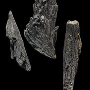 Black Tourmaline 3/4 feather crystal 18-19g Rocks and Things