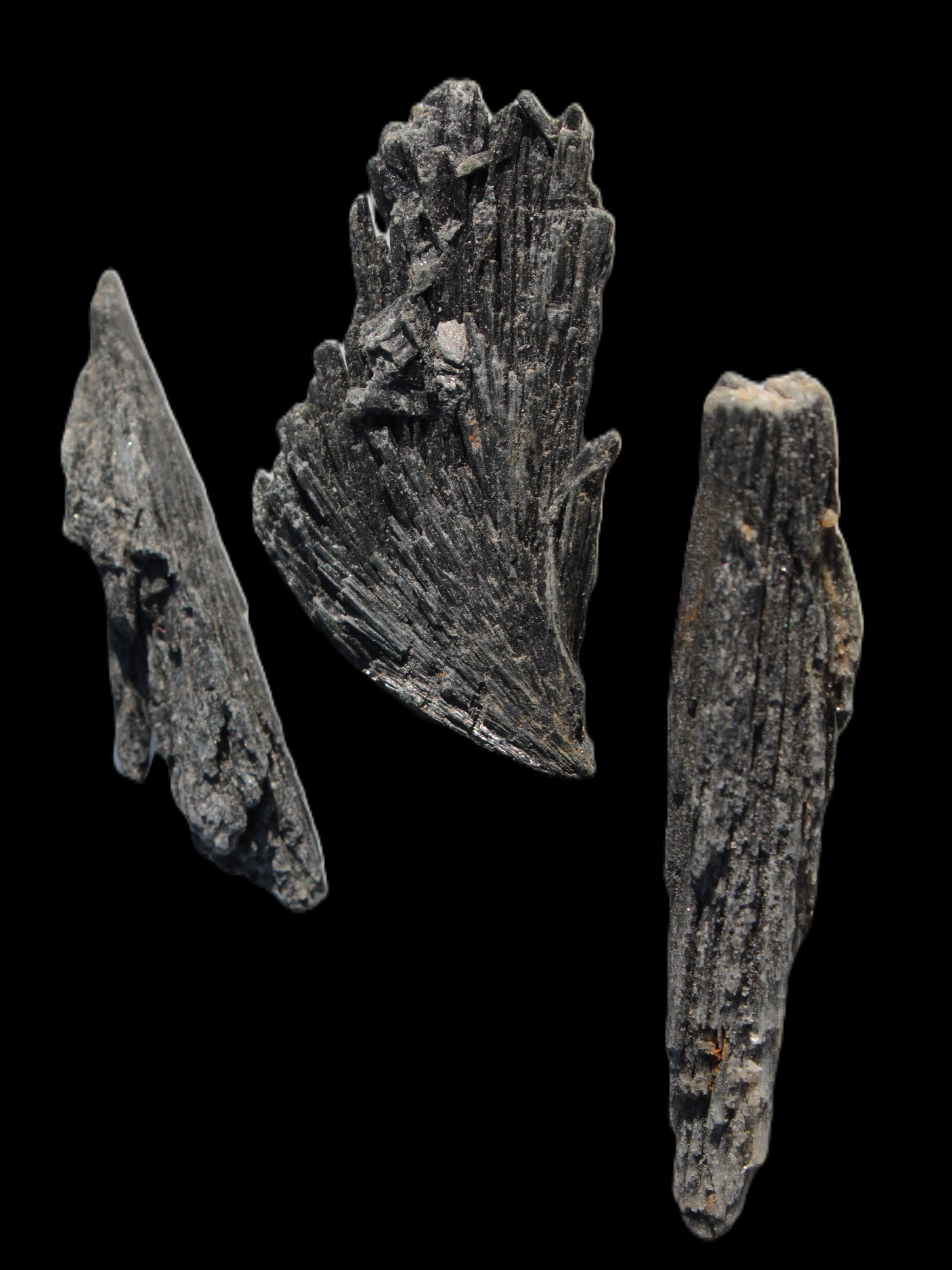 Black Tourmaline 3/4 feather crystal 18-19g Rocks and Things