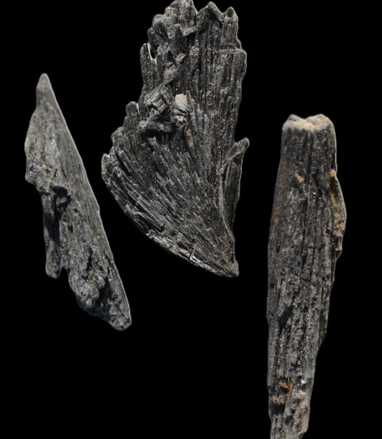 Black Tourmaline 3/4 feather crystal 18-19g Rocks and Things