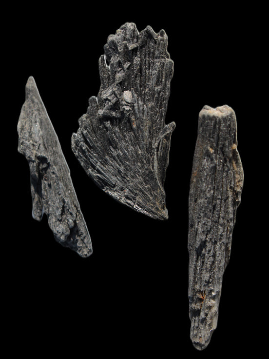 Black Tourmaline 3/4 feather crystal 18-19g Rocks and Things