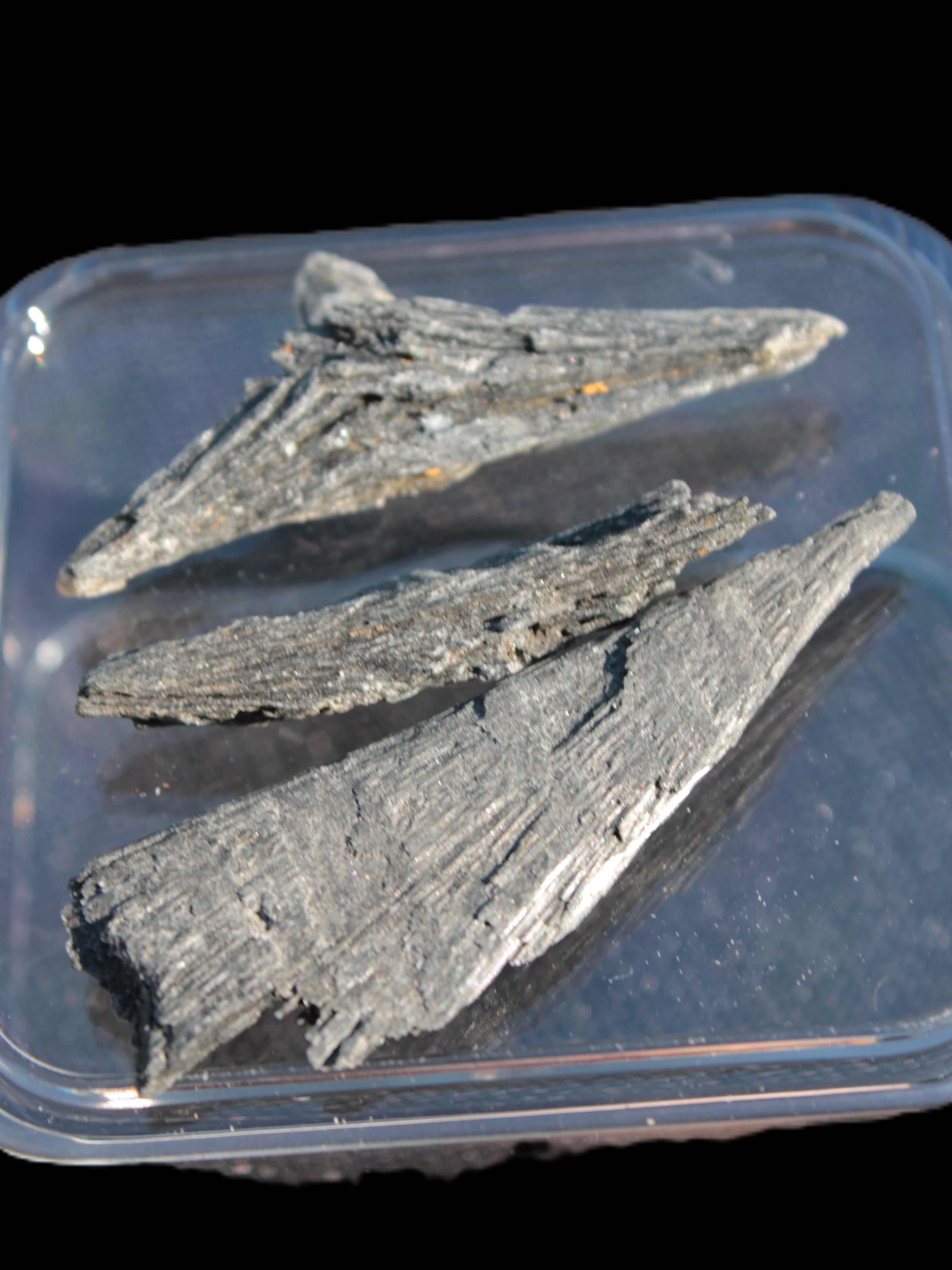 Black Tourmaline 3/4 feather crystal 18-19g Rocks and Things